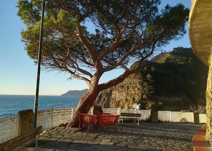 The Way Of Love - La Via Dell\'Amore