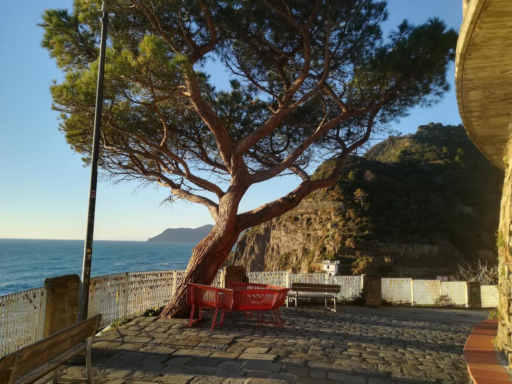 The Way Of - La Via Dell'amore